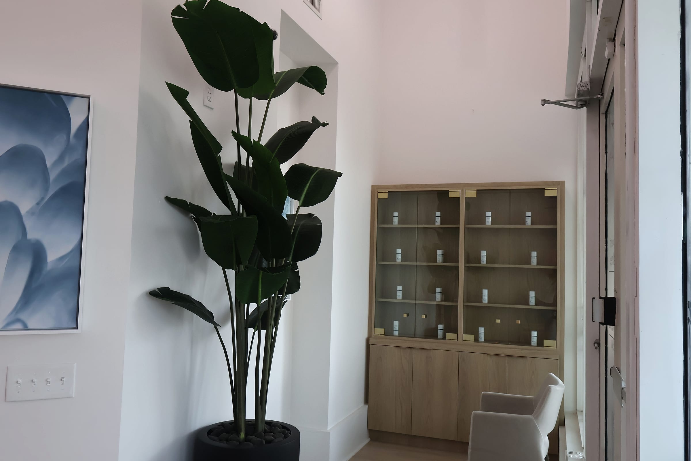 The waiting area at Naiva, a tall plant beside the skincare cabinet