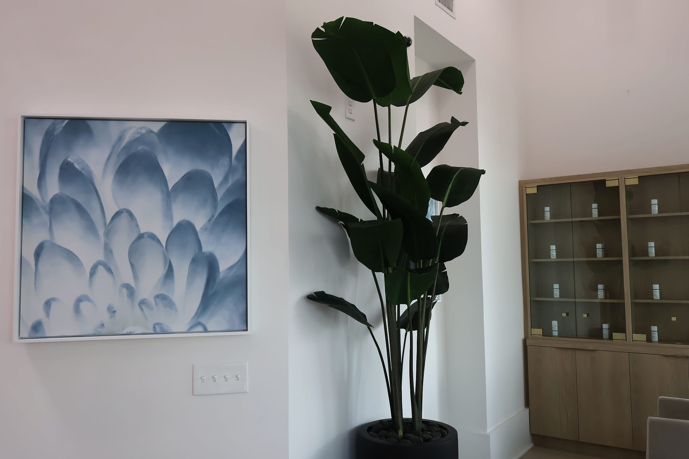 The Naiva waiting area with a tall plant, blue floral artwork and the skincare display