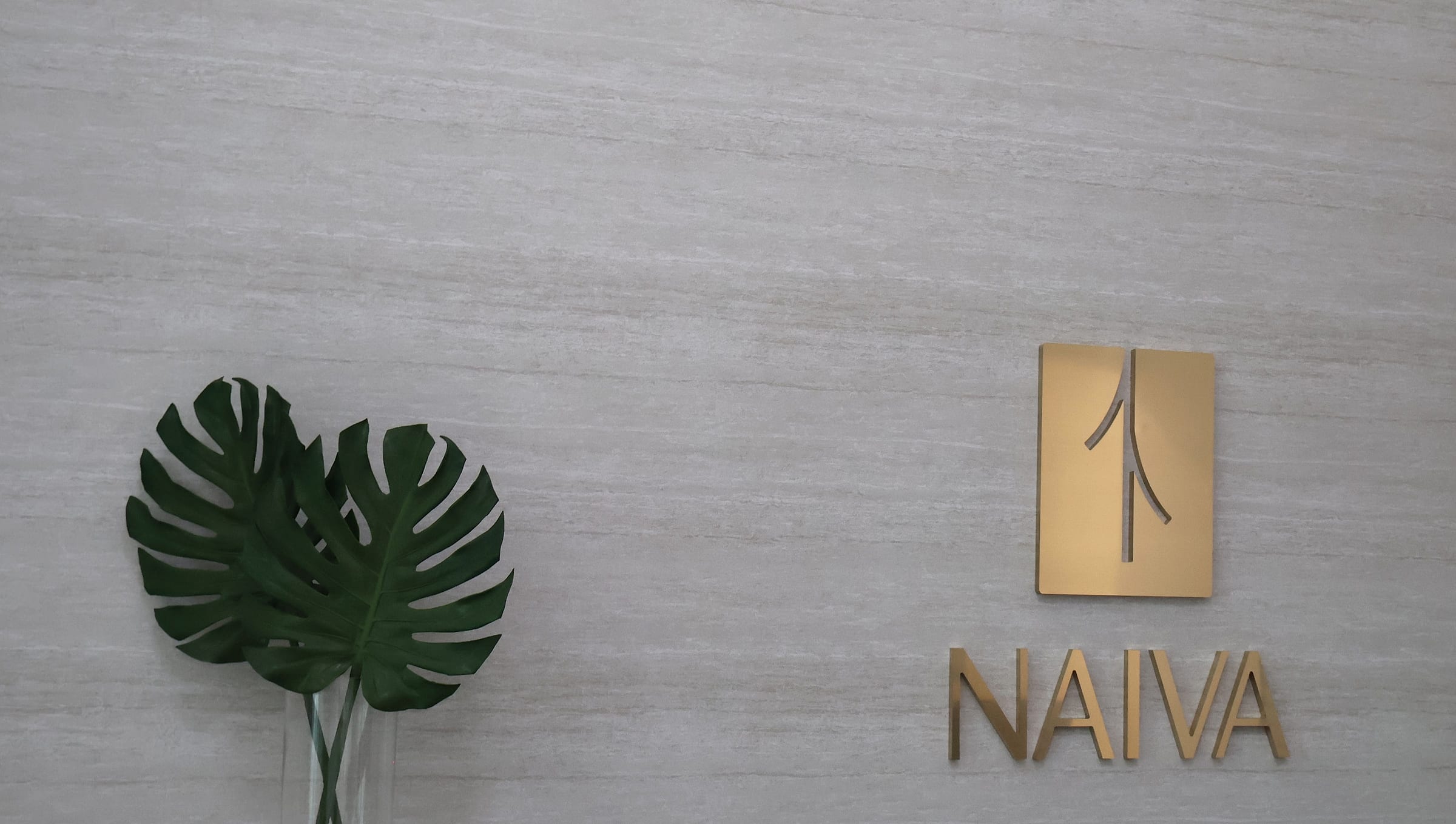 The Naiva logo in brushed gold on a textured wall at the practice in Coral Gables, Miami