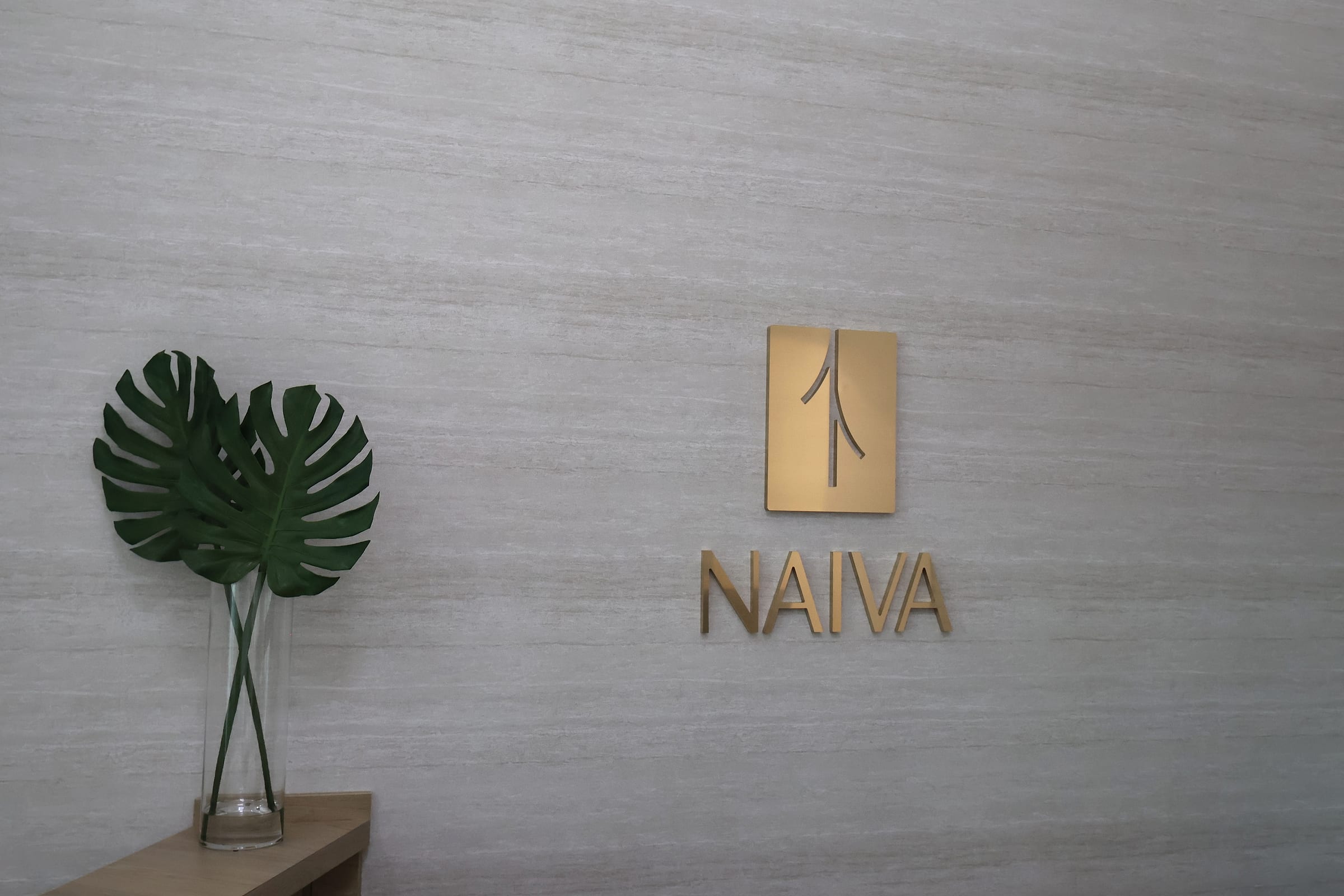 The Naiva logo in brushed gold on a textured wall at the practice, beside a monstera leaf